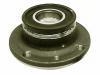 Cubo de rueda Wheel Hub Bearing:46519901